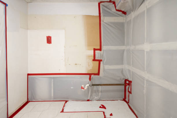 Best Mold Prevention Services  in Morganville, NJ