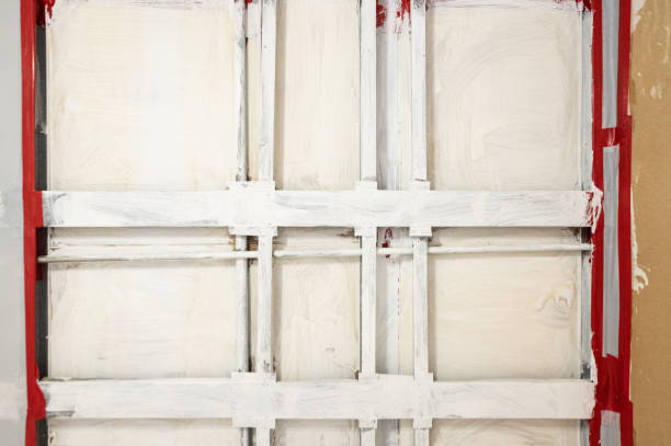 Best Commercial Mold Inspection  in Morganville, NJ