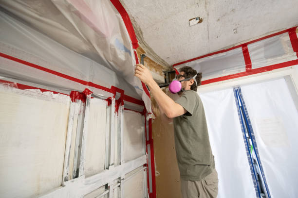 Best Basement Mold Removal  in Morganville, NJ