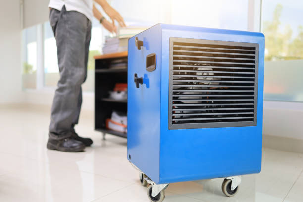 Best Air Quality Testing for Mold Spores  in Morganville, NJ