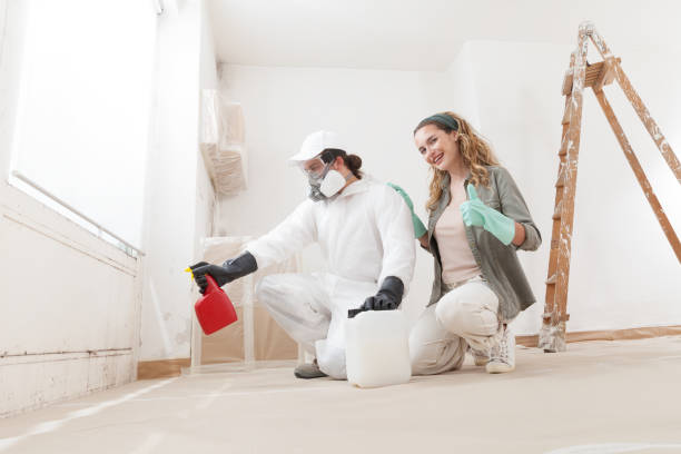 Best Asbestos and Lead Testing During Mold Inspection  in Morganville, NJ