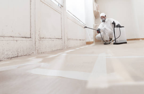 Best Airborne Mold Testing  in Morganville, NJ