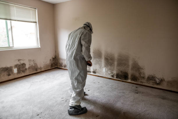 Best Comprehensive Air Testing for Mold Contaminants  in Morganville, NJ