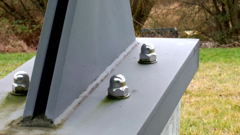 Best Industrial Mold Remediation  in Morganville, NJ